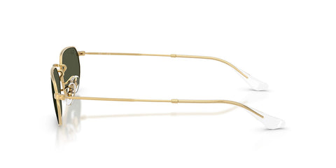 Ray-Ban RB 3947 001/31 Sunglasses