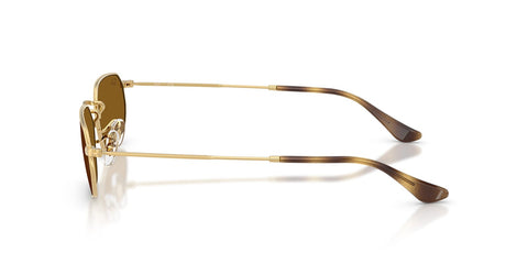 Ray-Ban RB 3947 001/33 Sunglasses