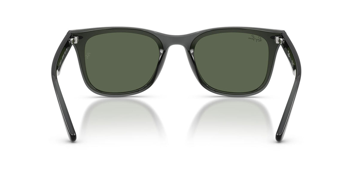 Ray-Ban RB 4420 6919/71 Sunglasses