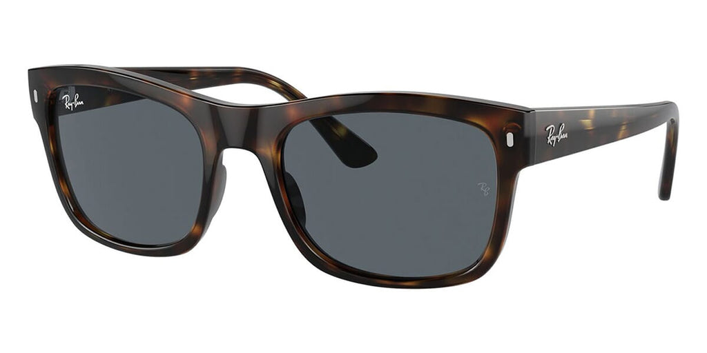 Ray-Ban RB 4428 710/R5 Sunglasses