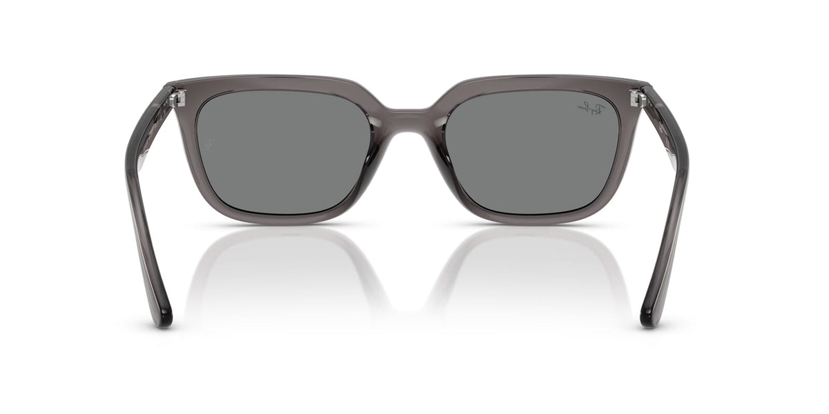 Ray-Ban RB 4439D 6675/87 Sunglasses