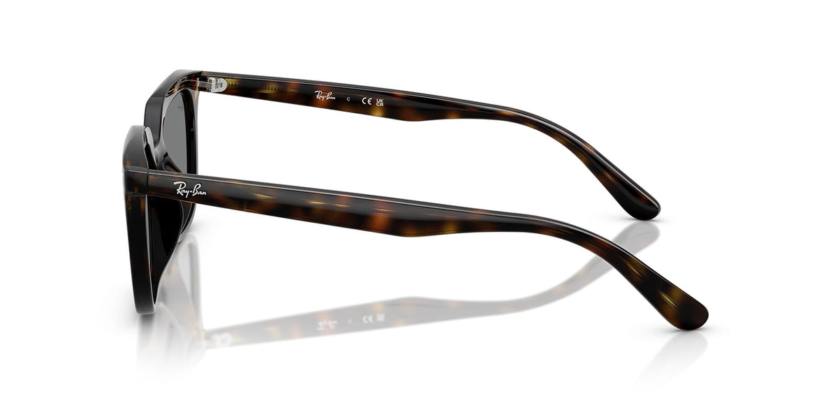 Ray-Ban RB 4439D 710/87 Sunglasses