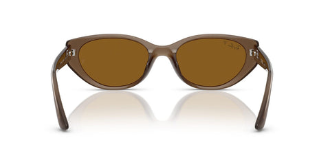 Ray-Ban RB 4457D 6779/83 Polarised Sunglasses