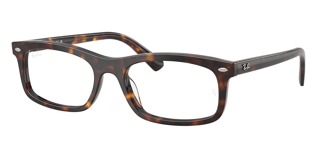 Ray-Ban RB 5450 2012 Glasses