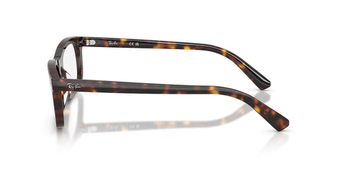 Ray-Ban RB 5450 2012 Glasses