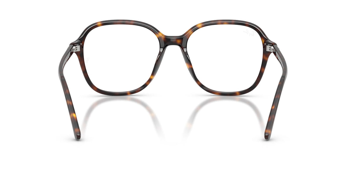 Ray-Ban RB 5456 2012 Glasses
