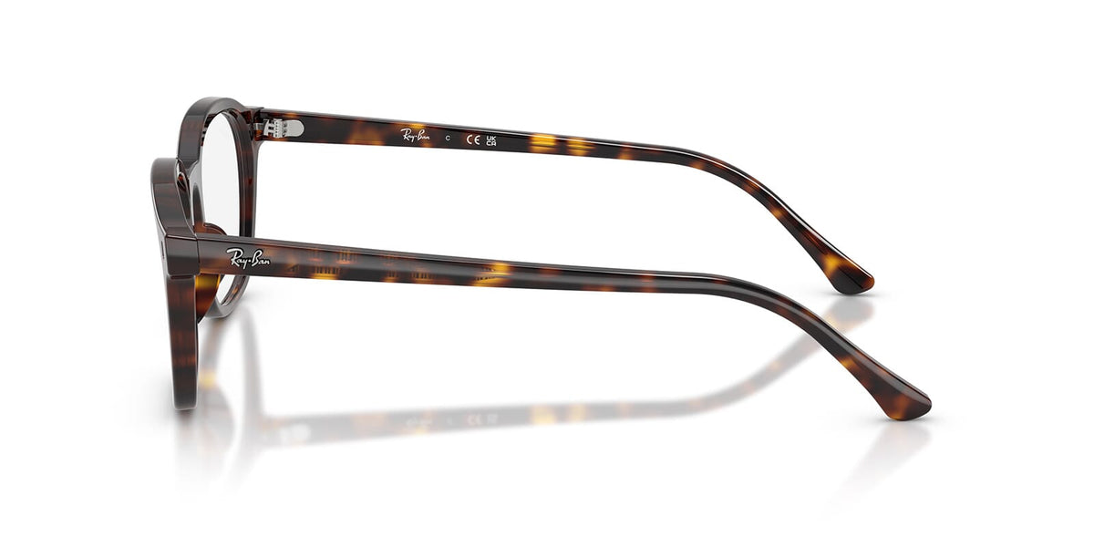 Ray-Ban RB 5460 2012 Glasses