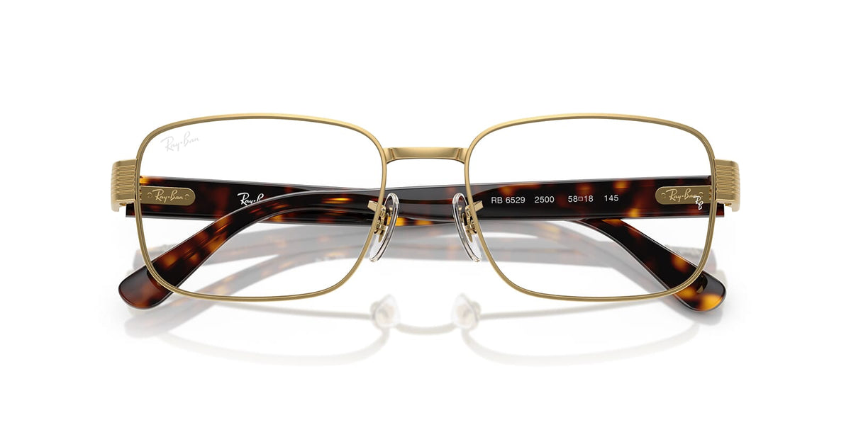 Ray-Ban RB 6529 2500 Glasses