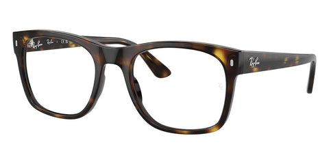 Ray-Ban RB 7228 2012 Glasses