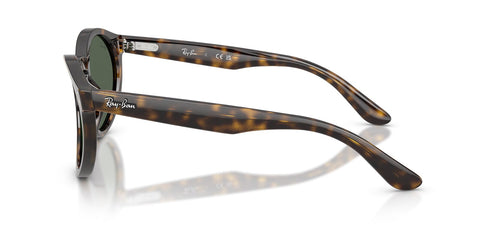Ray-Ban RB R0505S 6790/VR Sunglasses