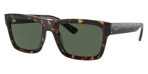 Ray-Ban Warren RB 4396 1359/71 Sunglasses