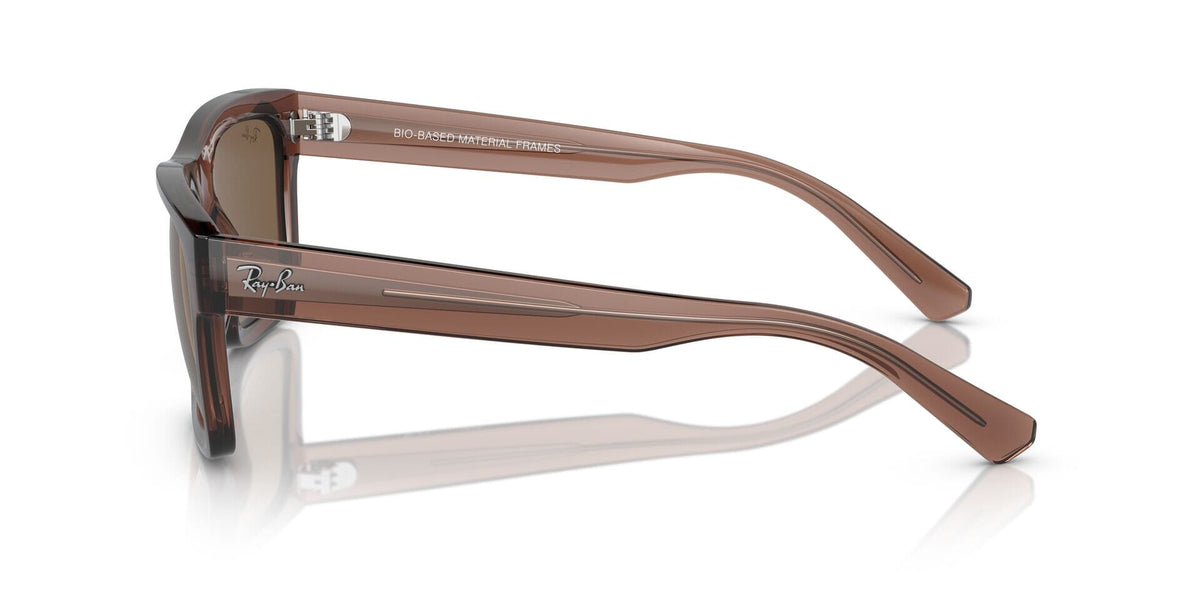 Ray-Ban Warren RB 4396 6678/73 Sunglasses