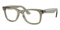 Ray-Ban Wayfarer Ease RB 4340V 8541 Glasses