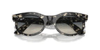 Ray-Ban Wayfarer Oval RB 2242 1333/71 Sunglasses