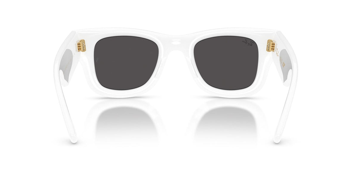 Ray-Ban Wayfarer Puffer RB 4940 671/87 Sunglasses