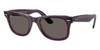 Ray-Ban Wayfarer RB 2140 1447/B1 Sunglasses