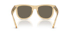 Ray-Ban Wayfarer Reverse RB R0502S 6821/5A Sunglasses