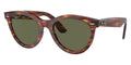 Ray-Ban Wayfarer Way RB 2241 954/58 Polarised Sunglasses