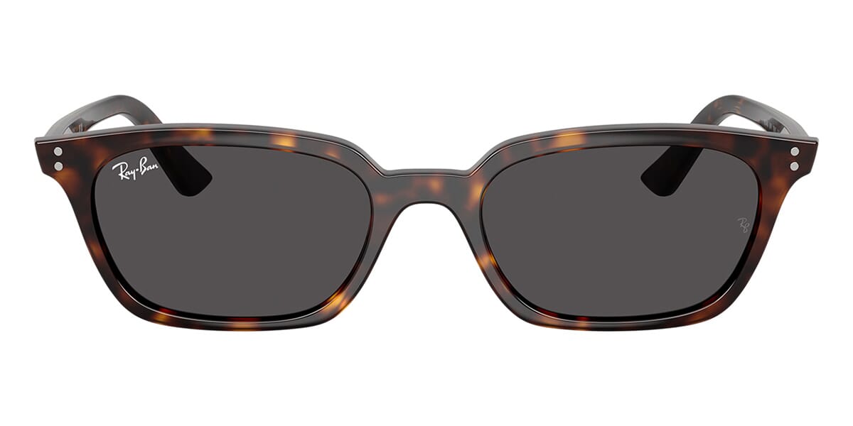 Ray-Ban Zaya RB 4456 1359/87 Sunglasses