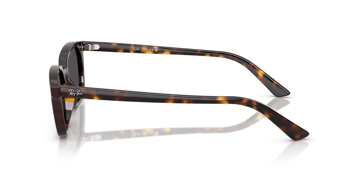 Ray-Ban Zaya RB 4456 1359/87 Sunglasses