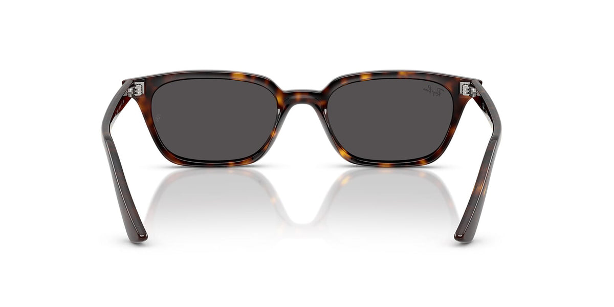 Ray-Ban Zaya RB 4456 1359/87 Sunglasses
