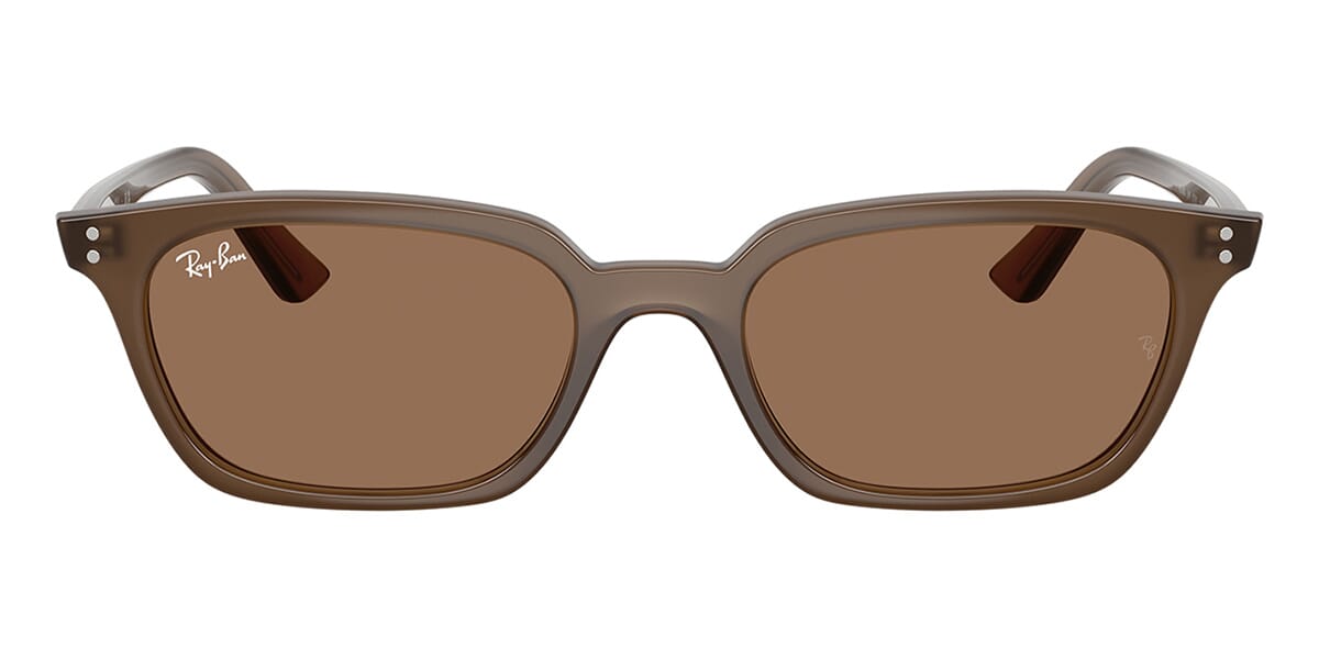 Ray-Ban Zaya RB 4456 6779/73 Sunglasses