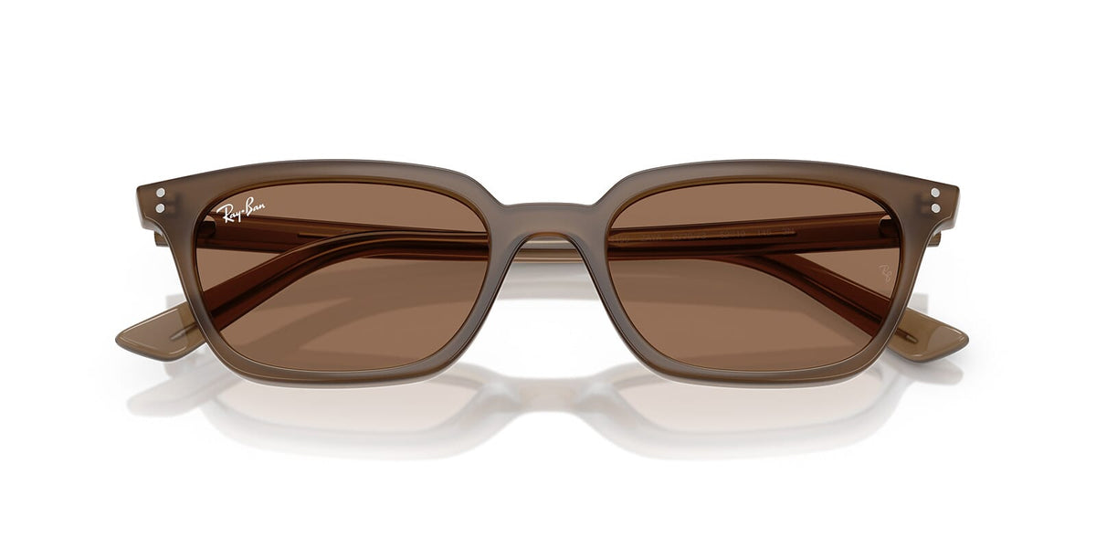 Ray-Ban Zaya RB 4456 6779/73 Sunglasses