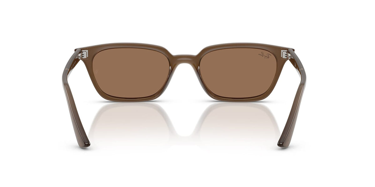 Ray-Ban Zaya RB 4456 6779/73 Sunglasses