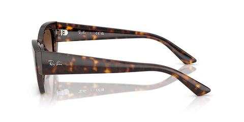 Ray-Ban Zena RB 4430 1359/13 Sunglasses