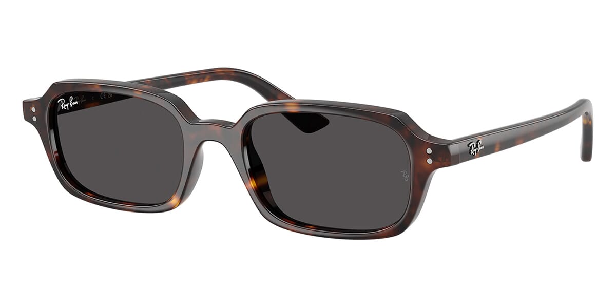 Ray-Ban Zuri RB 4455 1359/87 Sunglasses