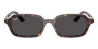Ray-Ban Zuri RB 4455 1359/87 Sunglasses