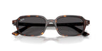 Ray-Ban Zuri RB 4455 1359/87 Sunglasses