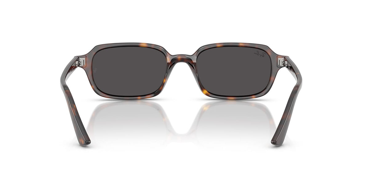 Ray-Ban Zuri RB 4455 1359/87 Sunglasses