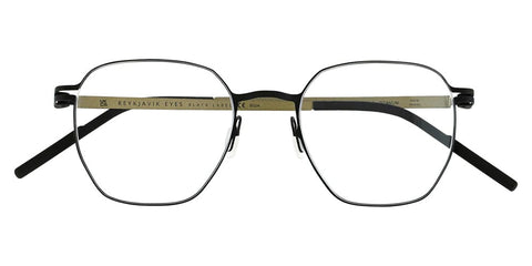Reykjavik Eyes Black Label Alvar C1 Glasses