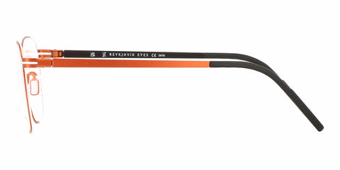 Reykjavik Eyes Black Label Alvar C3