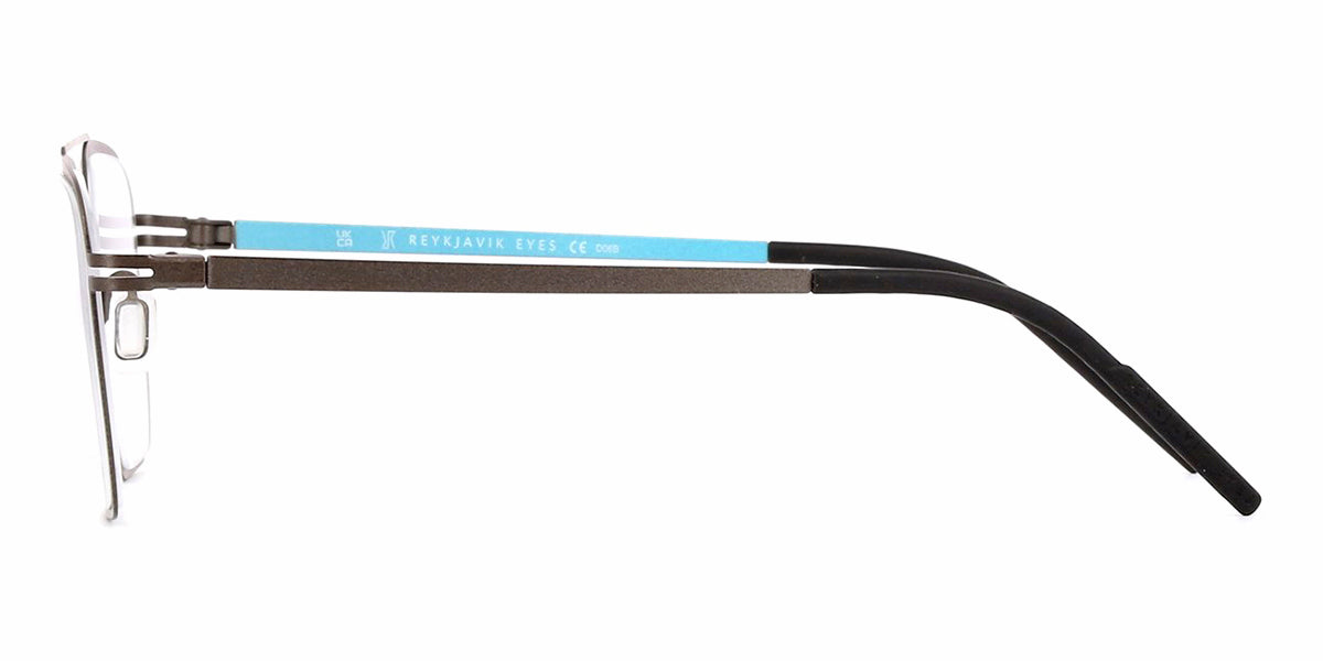 Reykjavik Eyes Black Label Gunnar C3