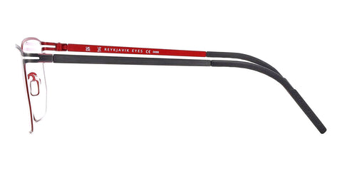 Reykjavik Eyes Black Label Hans C1