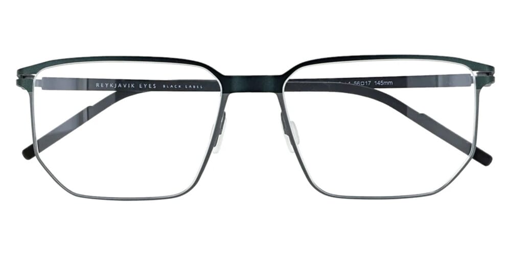 Reykjavik Eyes Black Label Hans C4 Glasses