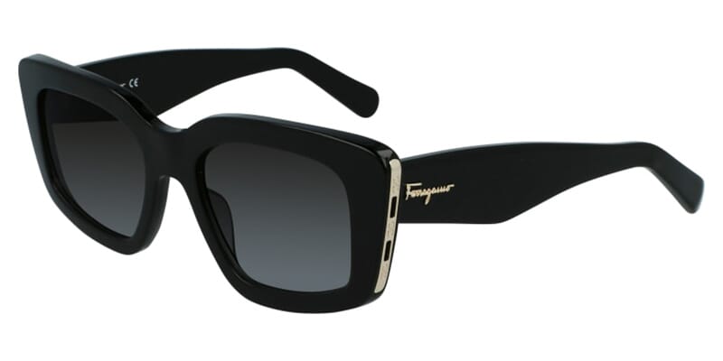 Salvatore Ferragamo SF1024S 001 Sunglasses