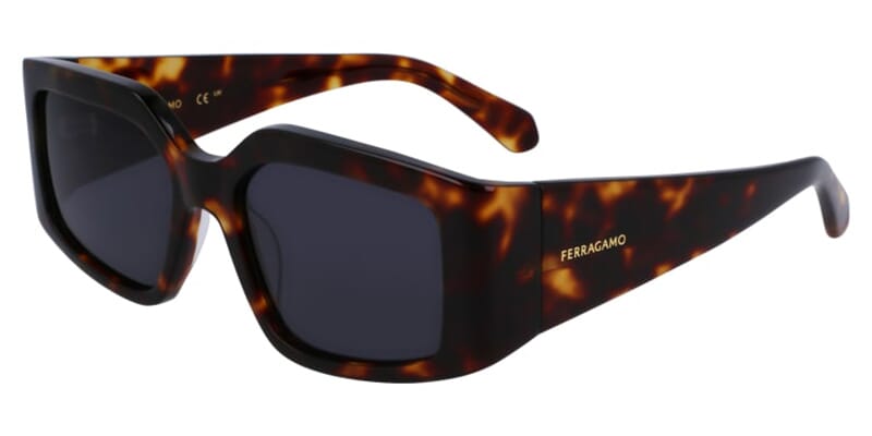 Salvatore Ferragamo SF1101S 242 Sunglasses