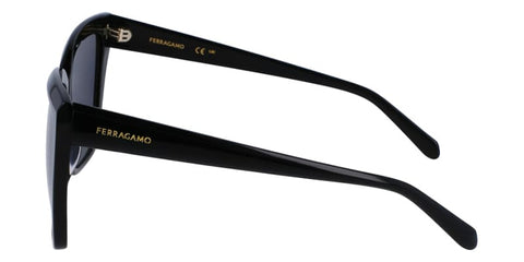 Salvatore Ferragamo SF1102S 001 Sunglasses