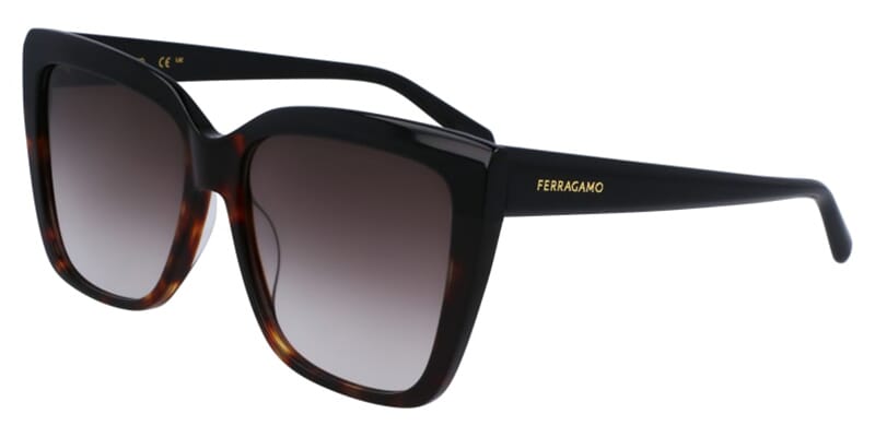 Salvatore Ferragamo SF1102S 006 Sunglasses