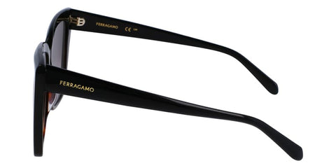 Salvatore Ferragamo SF1102S 006 Sunglasses