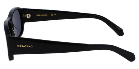Salvatore Ferragamo SF1109S 001 Sunglasses