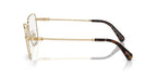 Swarovski SK1003 4013 Glasses