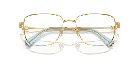 Swarovski SK1003 4021 Glasses