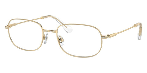 Swarovski SK1005 4013 Glasses