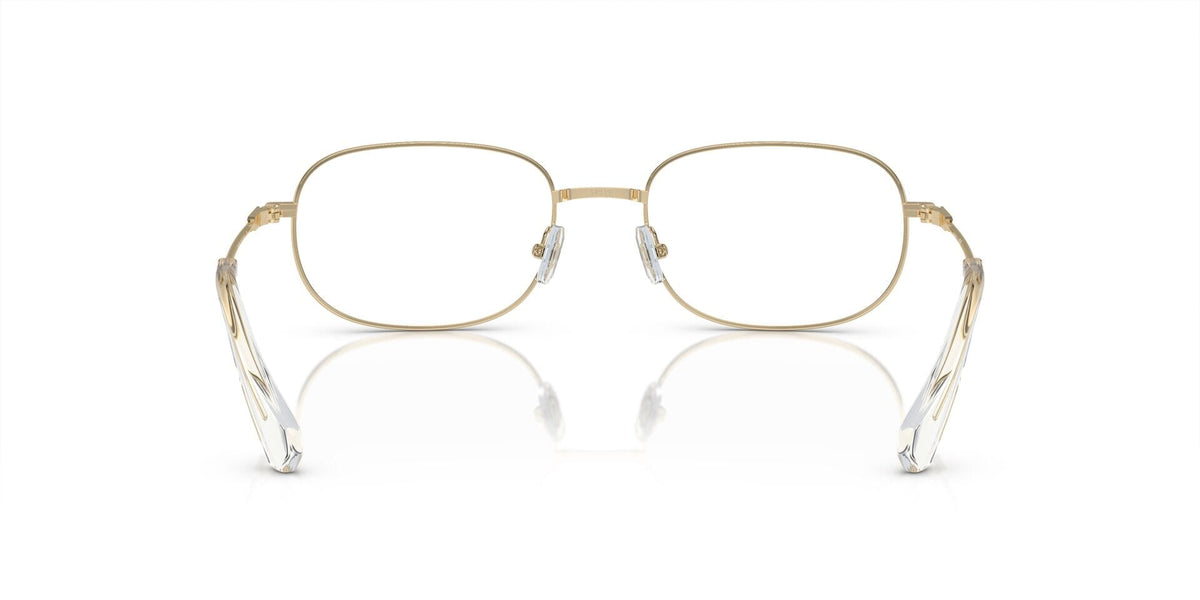 Swarovski SK1005 4013 Glasses