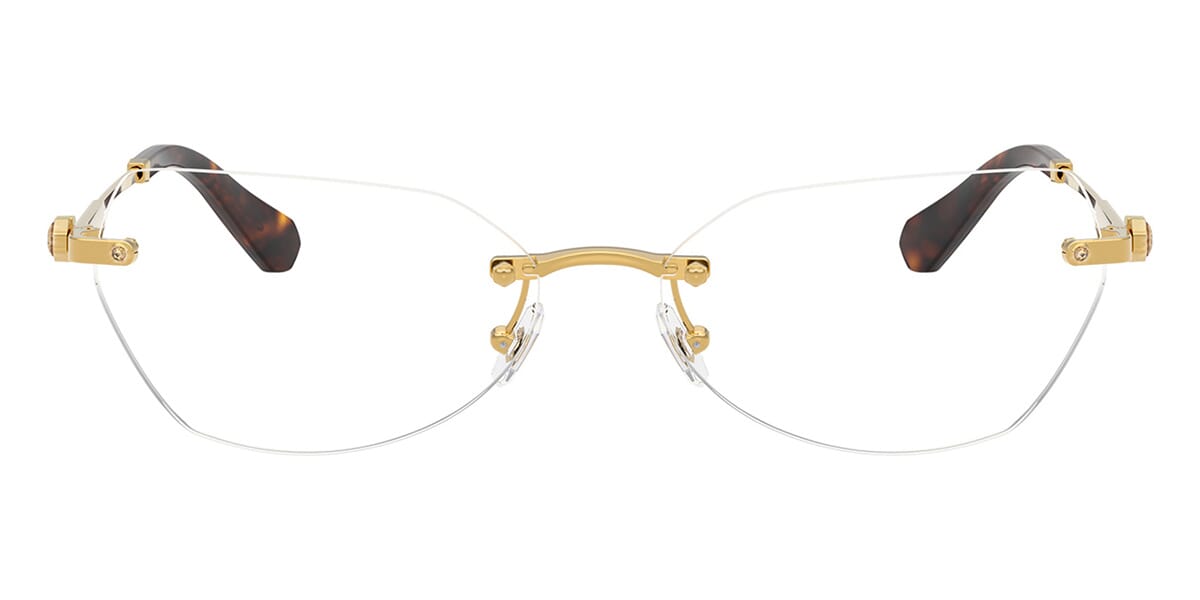 Swarovski SK1031 4007 Glasses