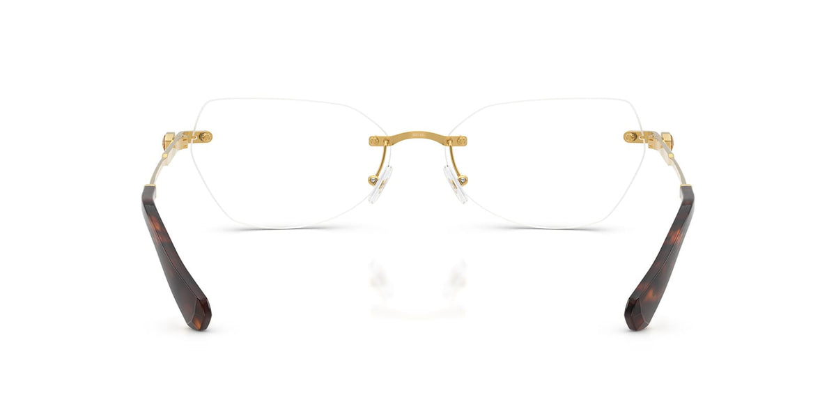 Swarovski SK1031 4007 Glasses
